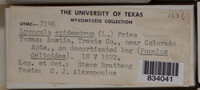 Image Associated With the Occurence
